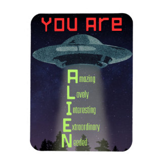 UFO Magnet