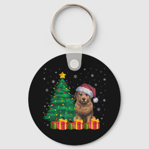 Ugly Briard Santa Hat Christmas Lights Dog Lover X Keychain