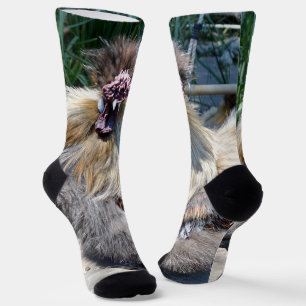 Ugly Chicken, Crew Socks