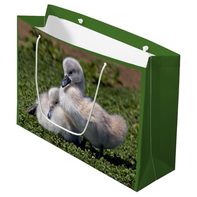 Ugly Ducklings Gift Bag (Front Angled)
