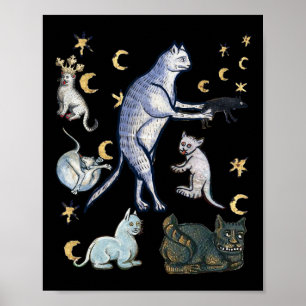 Ugly Medieval Cats Poster