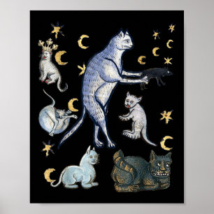 Ugly Medieval Cats  Poster