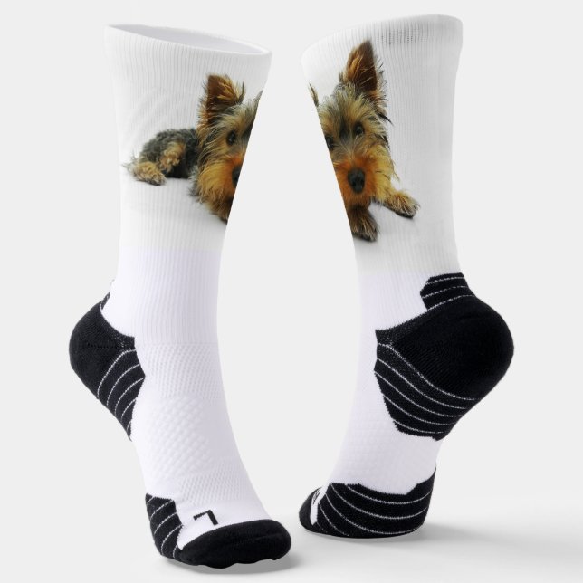 ugly socks dog (Angled)