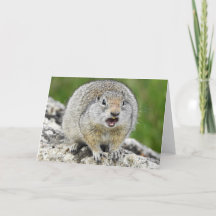 Uinta Ground Squirrel Notecard