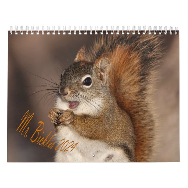UK dates 2024 Medium - Mr. Bickles wall calendar  (Cover)