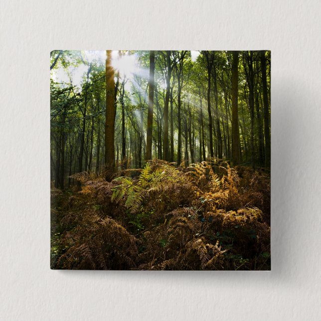 UK, England. Rays of sunlight streaming through 2 Inch Square Button (Front)
