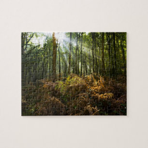 UK, England. Rays of sunlight streaming through Jigsaw Puzzle