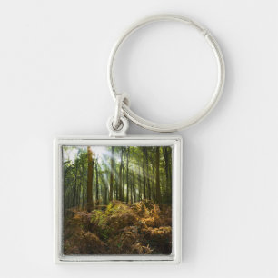 UK, England. Rays of sunlight streaming through Keychain