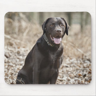 UK, England, Suffolk, Thetford Forest, Black Mouse Pad