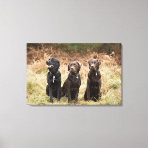 UK, England, Suffolk, Thetford Forest, Portrait Canvas Print