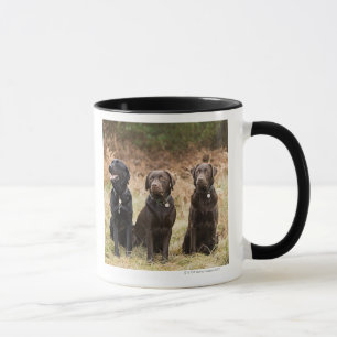 UK, England, Suffolk, Thetford Forest, Portrait Mug