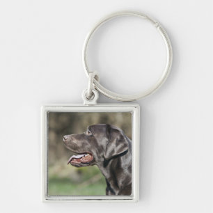 UK, England, Suffolk, Thetford Forest, Profile Keychain