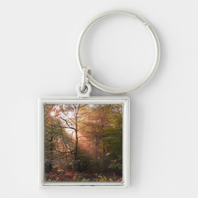 UK. Forest of Dean. Sunbeam penetrating a Keychain (Front)