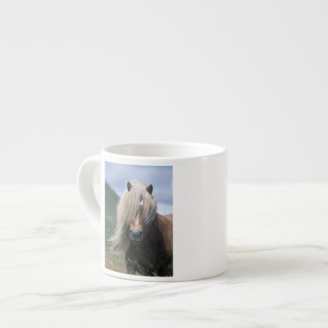 UK, Scotland, Shetland Islands, Shetland pony Espresso Cup (Front Left)