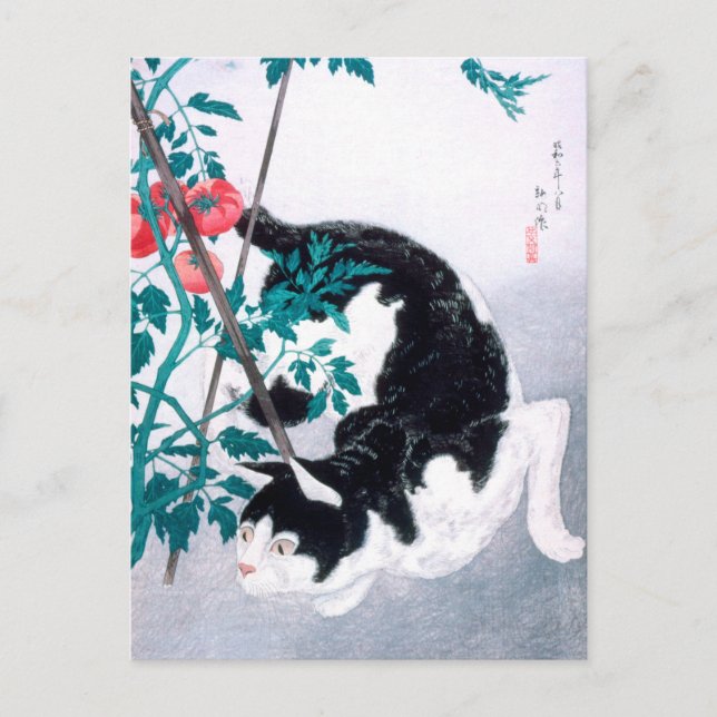 Ukiyoe [komei] 02 Cat with tomato plant Postcard (Front)