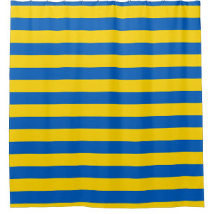 Ukraine Flag