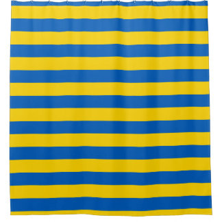 Ukraine Flag