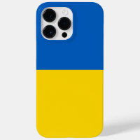Ukraine flag