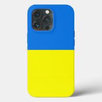 Ukraine Flag