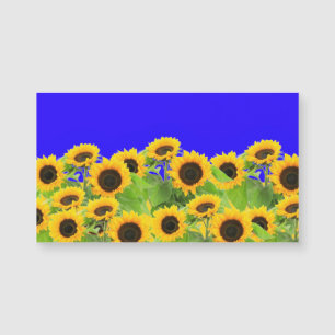 Ukraine Flag Colours Sunflowers Magnet