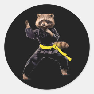 Ukraine Flag Cute Kungfu Racoon  Classic Round Sticker