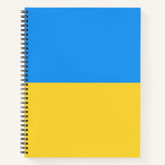 Ukraine flag notebook