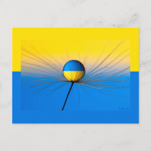 Ukraine Flag of Hope Postcard