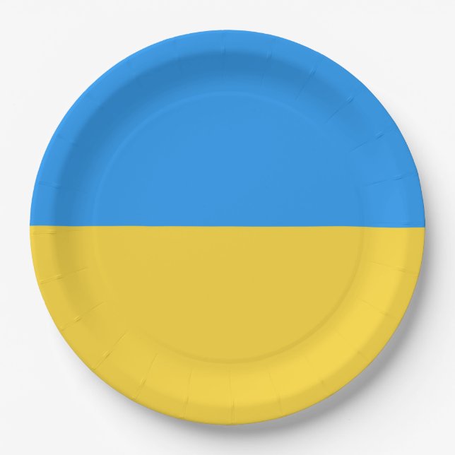 Ukraine flag paper plate (Front)