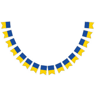 Ukraine Flag, Ukrainian Country Patriotic Gift Bunting Flags