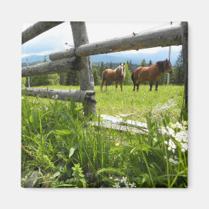 Ukraine: in the Carpathian Mountains Magnet