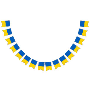 Ukraine National Flag