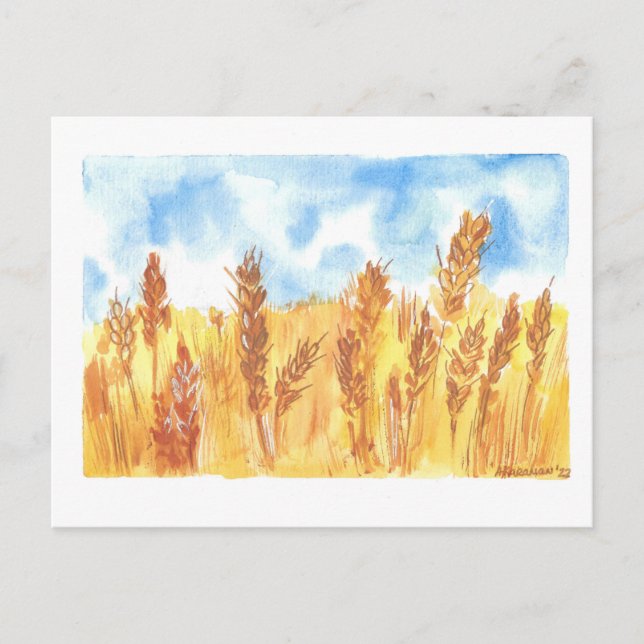 Ukraine Wheat Field original Watercolor drawing  Postcard (Front)