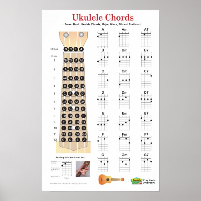 Ukulele Chords Finger Chart and Fretboard Poster (Front)