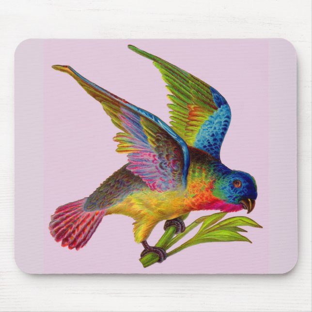 ultra colourful Victorian bird  Mouse Pad (Front)