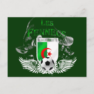 Ultra Cool Les Fennecs Algerie Postcards