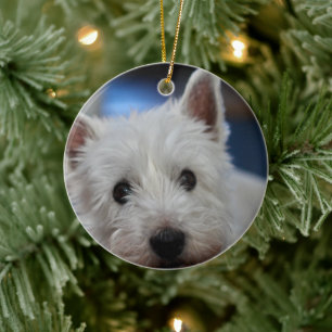 Ultra Cute Pestie Westie Terrier Ceramic Ornament