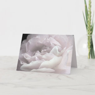 Ultra Pale Pink Rose Petals, Blank Greeting Card