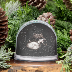 Ultrasonic Snow Globe