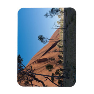 uluru and desert plain magnet