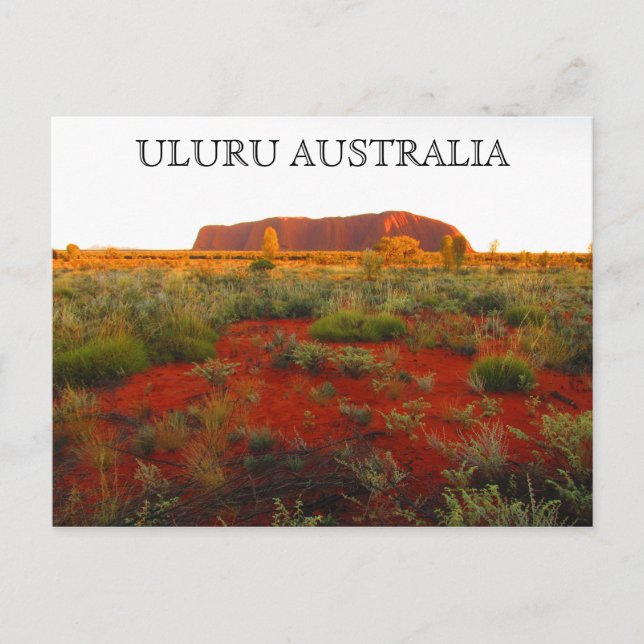 uluru red centre desert postcard (Front)