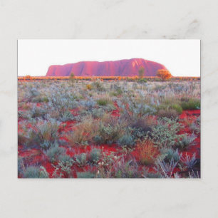 uluru red desert postcard