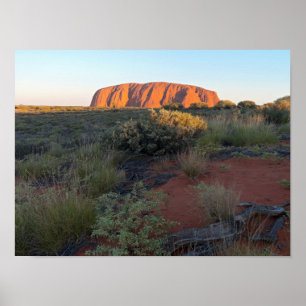 Uluru Sunrise and Desert Flora Poster