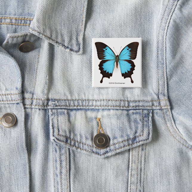 Ulysses Butterfly 2 Inch Square Button (In Situ)