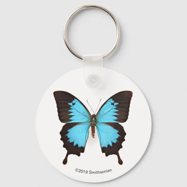 Ulysses Butterfly Keychain (Front)