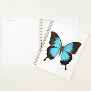 Ulysses Butterfly Planner
