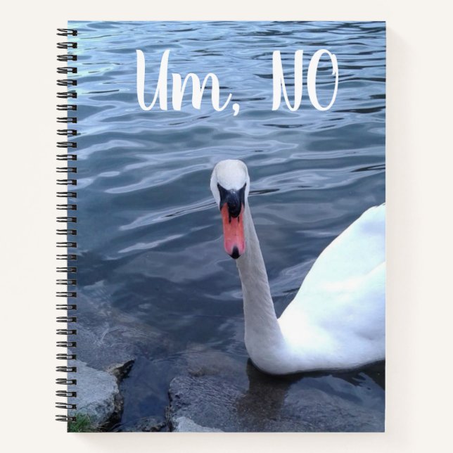 Um, No Funny Swan Notebook (Front)