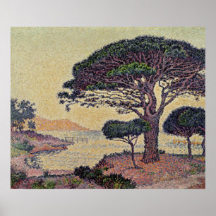 Umbrella Pines at Caroubiers, 1898 Poster