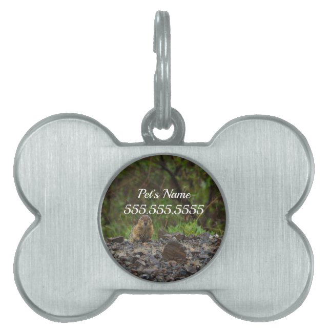 Umbrella Please Pet Tag (Front)