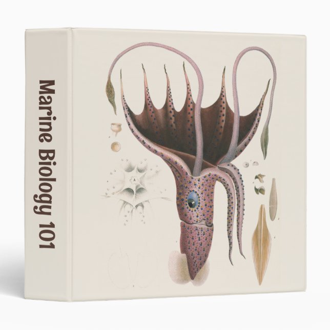 Umbrella Squid, Vintage Marine Life Animals Binder (Front/Spine)