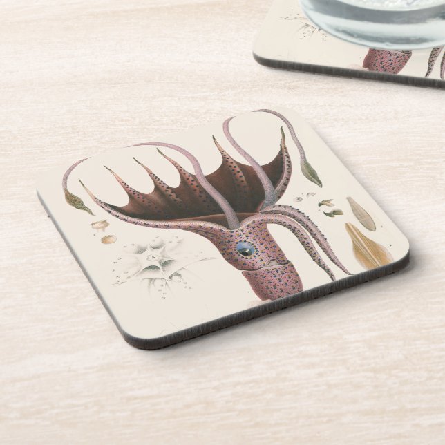 Umbrella Squid, Vintage Marine Life Animals Coaster (Left Side)